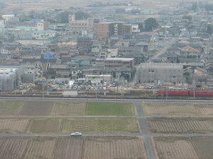 中央部の様子