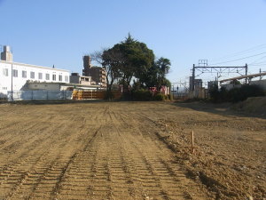 綺麗な更地に