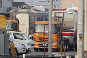 明るくなってきました