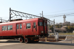 城山公園の桜と