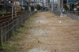 点々と続く赤い杭