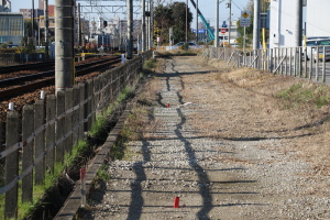 赤い杭が並ぶ