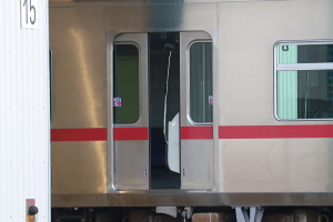ポールの塗装は剥離