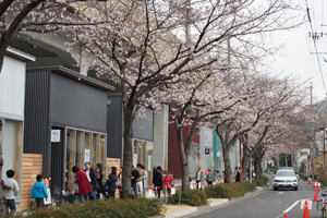 桜並木と賑わう商店街
