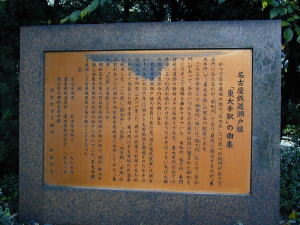 東大手駅の由来